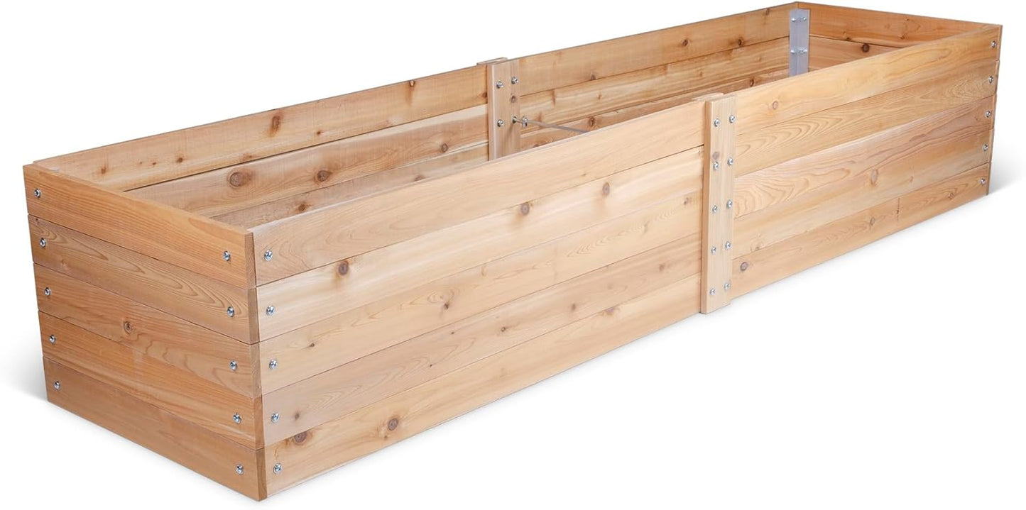 Infinite Cedar Select Cedar Raised Garden Bed (2' x 8' x 14" H)
