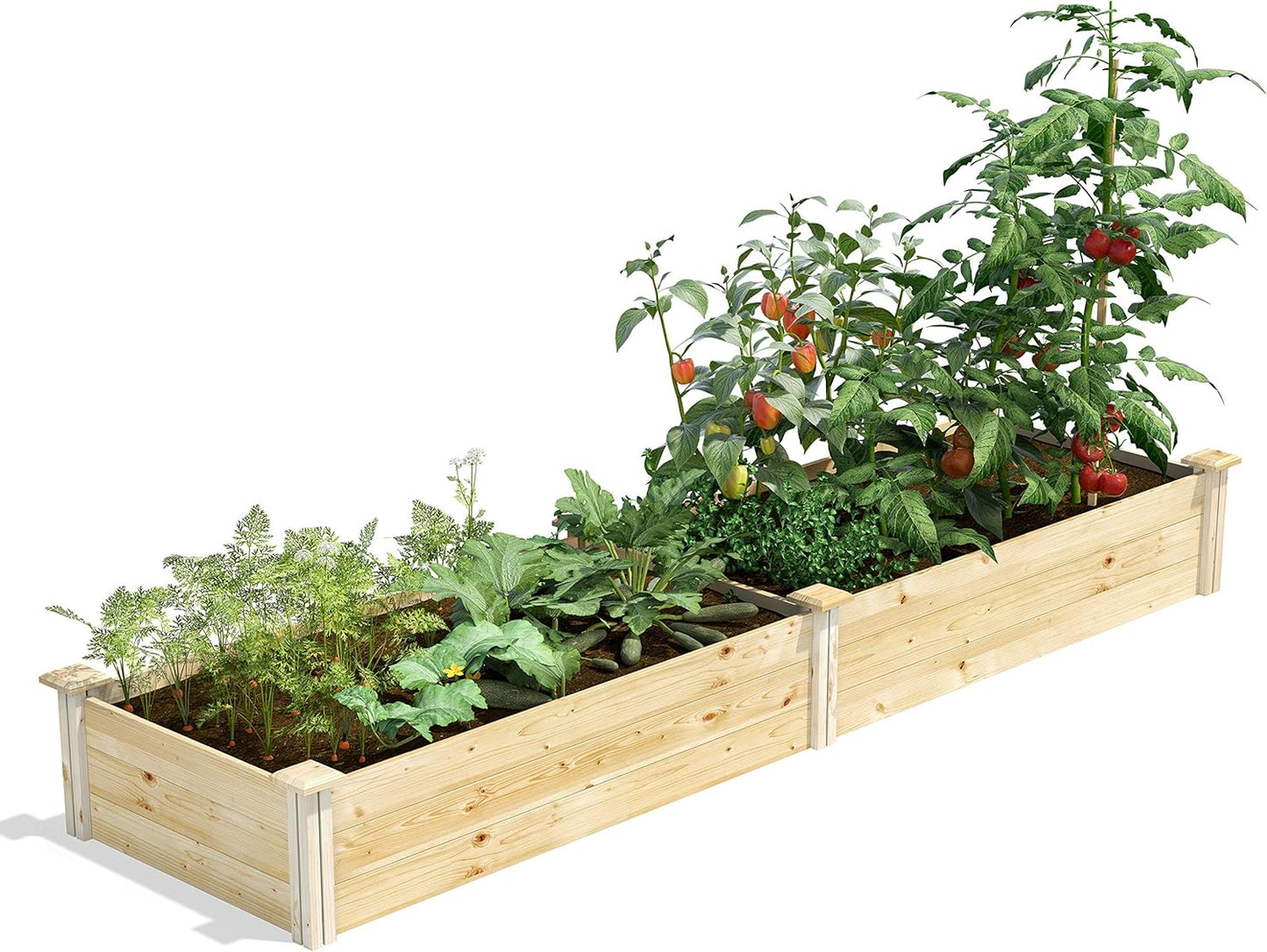 Greenes Fence Original Cedar Raised Garden Bed, 2' x 4' x 10.5" (3-Pack) - Made in USA with North American Cedar