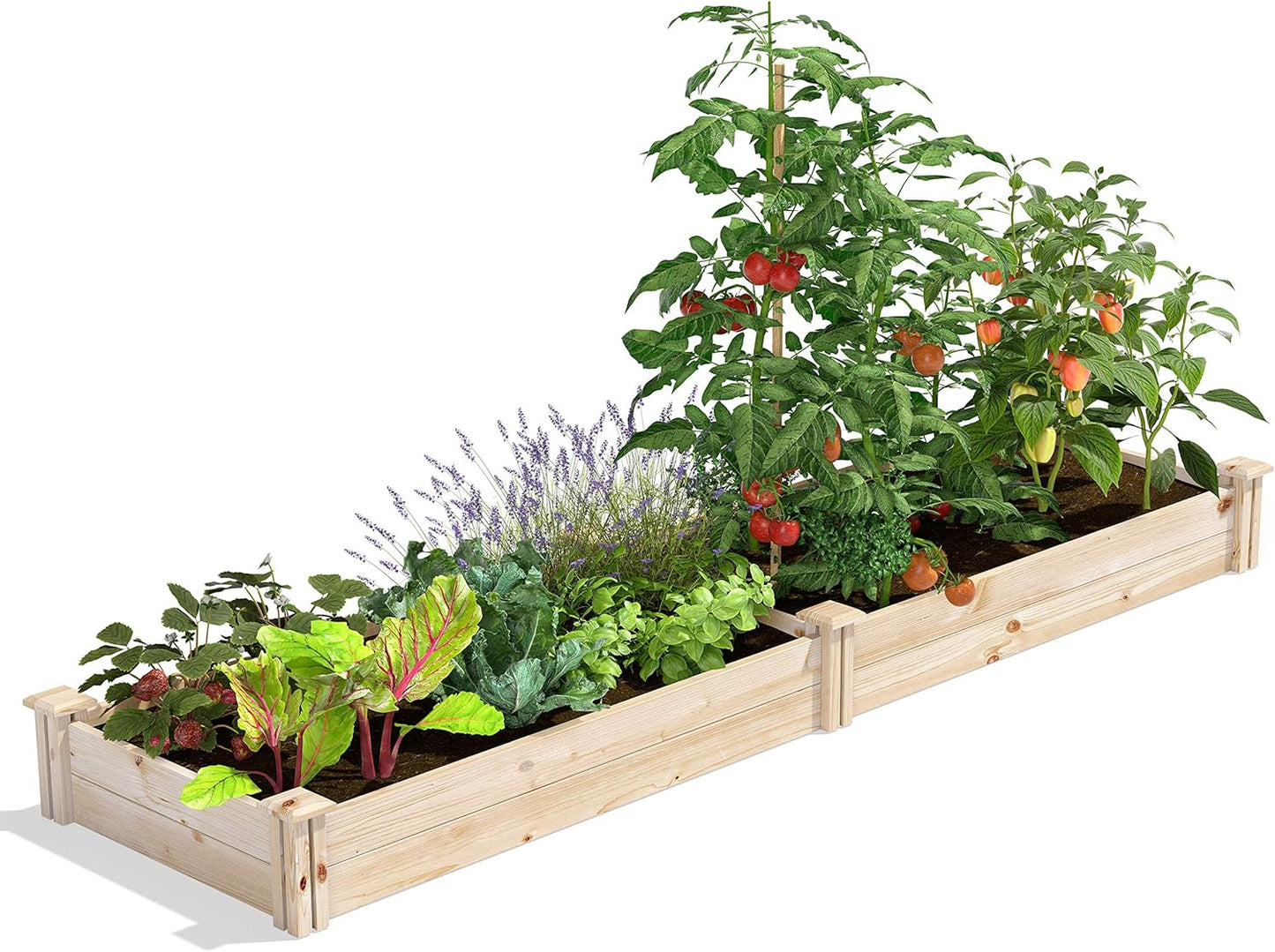 Greenes Fence Original Cedar Raised Garden Bed, 2' x 4' x 10.5" (3-Pack) - Made in USA with North American Cedar
