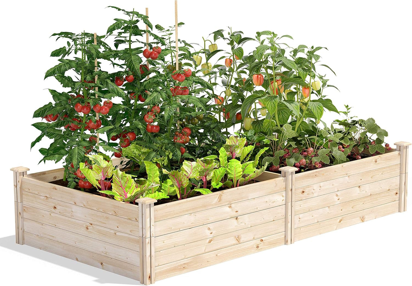 Greenes Fence Original Cedar Raised Garden Bed, 2' x 4' x 10.5" (3-Pack) - Made in USA with North American Cedar