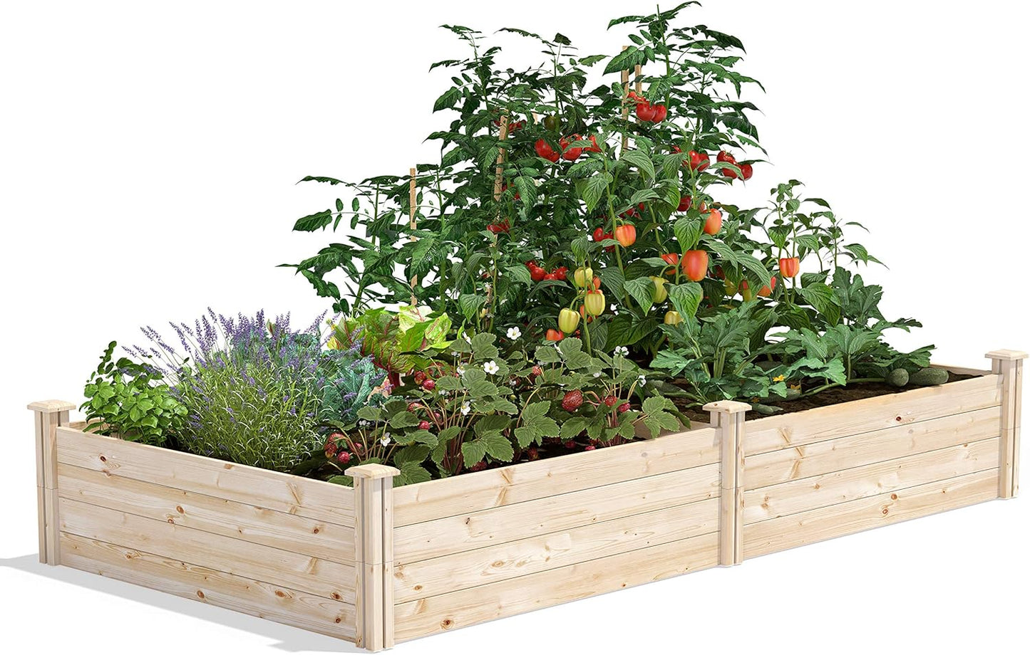 Greenes Fence Original Cedar Raised Garden Bed, 2' x 4' x 10.5" (3-Pack) - Made in USA with North American Cedar