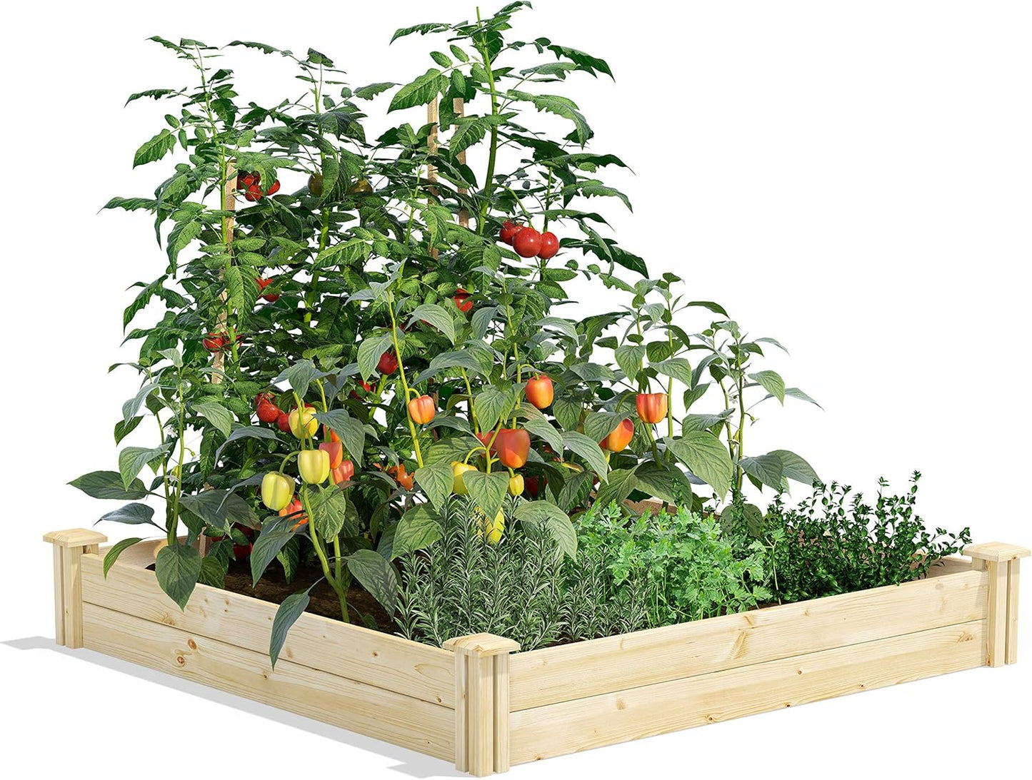 Greenes Fence Original Cedar Raised Garden Bed, 2' x 4' x 10.5" (3-Pack) - Made in USA with North American Cedar