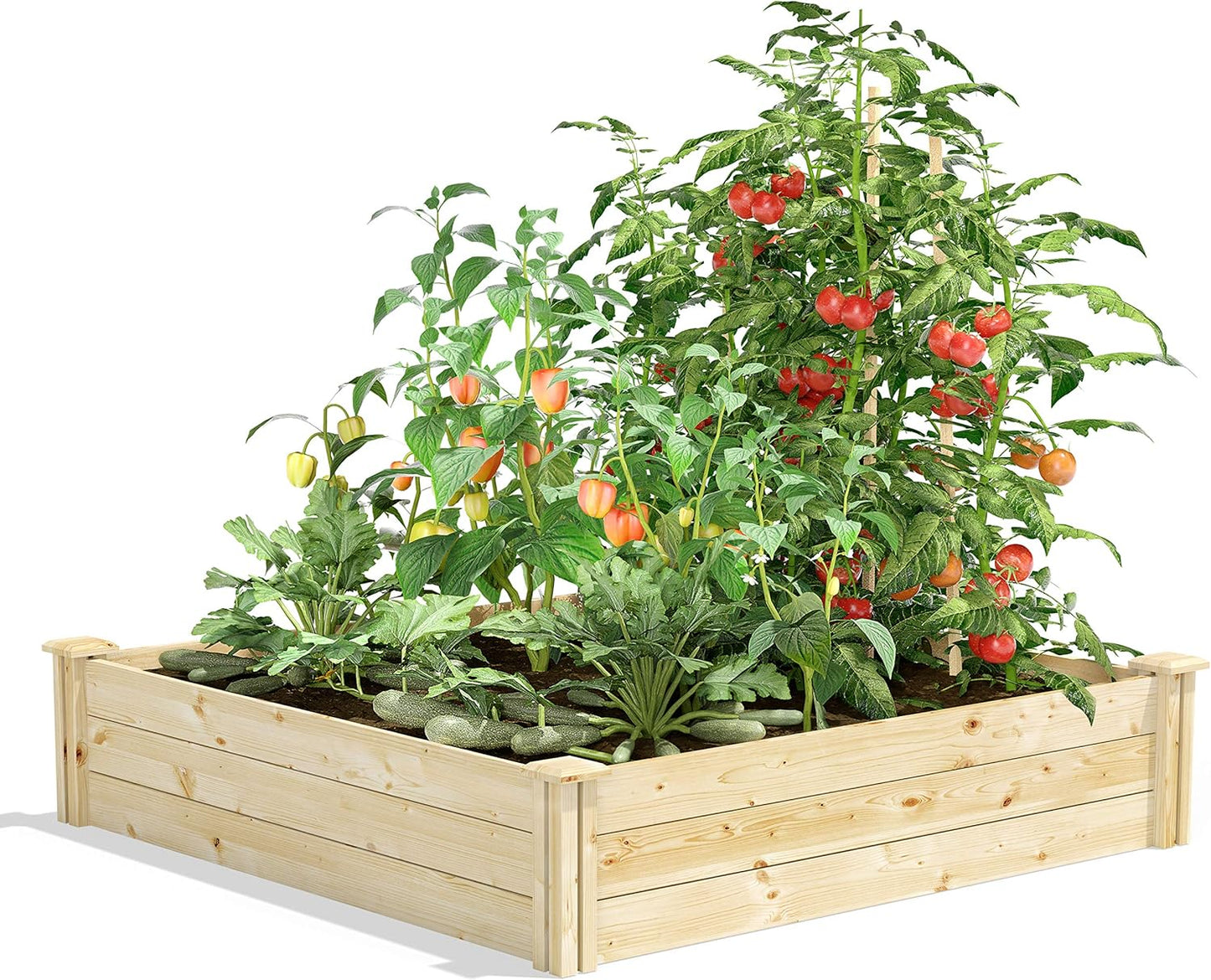 Greenes Fence Original Cedar Raised Garden Bed, 2' x 4' x 10.5" (3-Pack) - Made in USA with North American Cedar