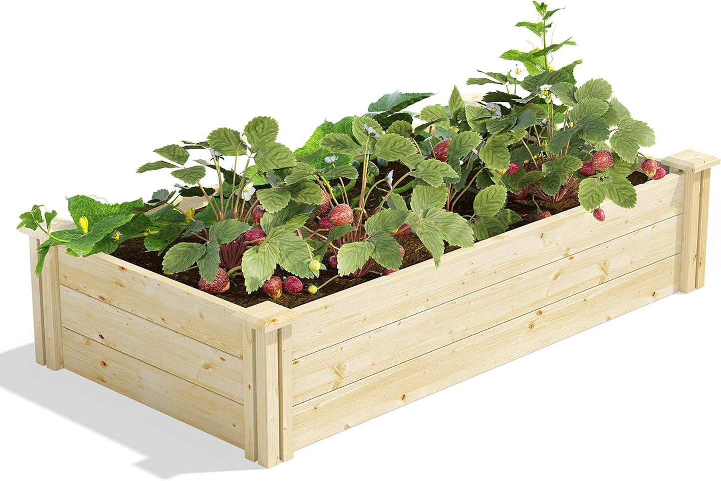 Greenes Fence Original Cedar Raised Garden Bed, 2' x 4' x 10.5" (3-Pack) - Made in USA with North American Cedar