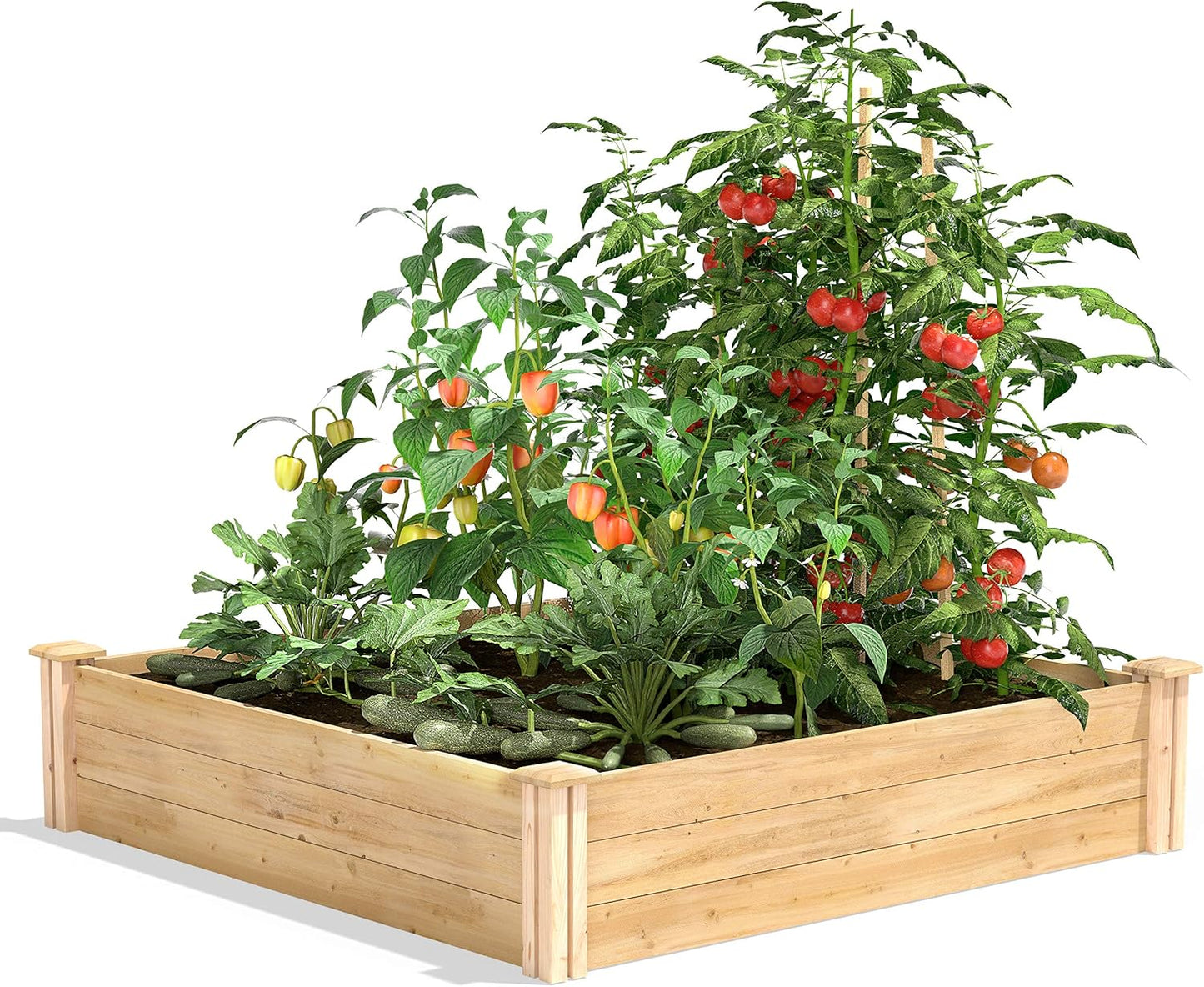 Greenes Fence Original Cedar Raised Garden Bed, 2' x 4' x 10.5" (3-Pack) - Made in USA with North American Cedar